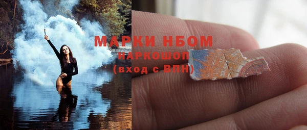 индика Осташков