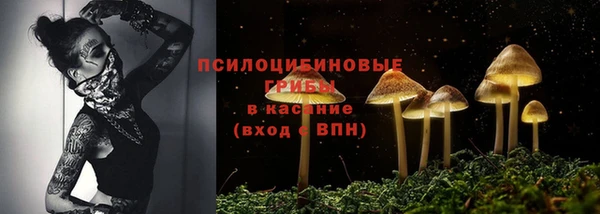 индика Осташков