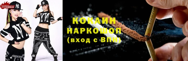 PSILOCYBIN Няндома