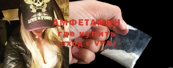 индика Осташков