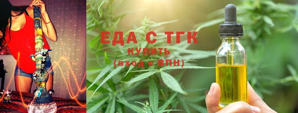 индика Осташков