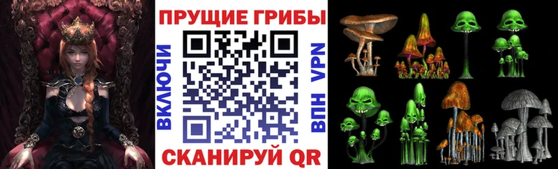 Купить закладки  Зубцов  Псилоцибиновые грибы Magic Shrooms 